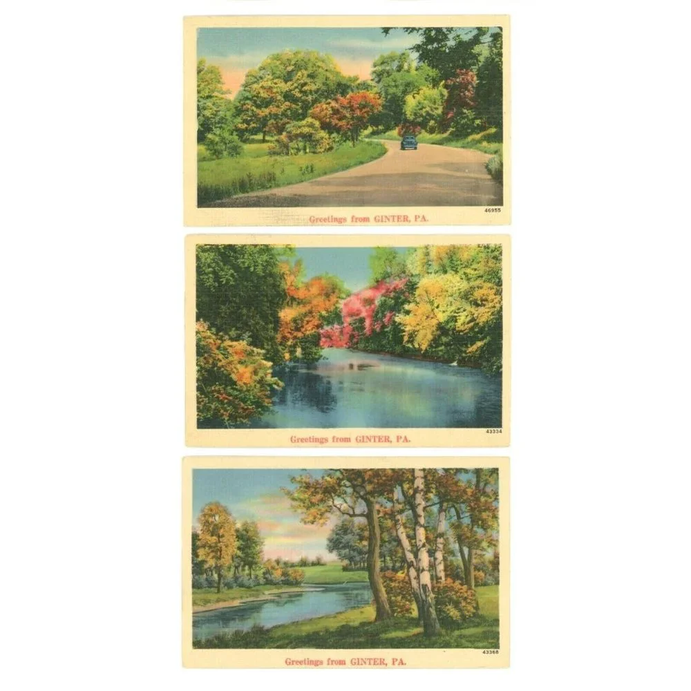 Set of 7 Vintage Travel Postcards Ginter PA Pennsylvania USA United States Rare‎